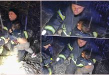 HOROR u Srbiji! Stradala trudnica: Tročlana porodica sletjela u kanjon dubok 100 metara, dijete i otac spašeni