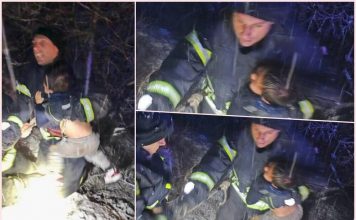 HOROR u Srbiji! Stradala trudnica: Tročlana porodica sletjela u kanjon dubok 100 metara, dijete i otac spašeni