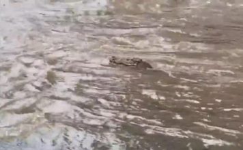 HAOS: U zračnoj luci potopljeni avioni, ljudi bježali u čamcima, ‘Ovo ne pamtim!‘