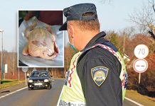 Nezapamćeno IŽIVLJAVANJE hrvatskih carinika nad majkom i djetetom: Vratili ih zbog “SRPSKOG” pileta