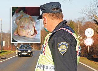 Nezapamćeno IŽIVLJAVANJE hrvatskih carinika nad majkom i djetetom: Vratili ih zbog “SRPSKOG” pileta