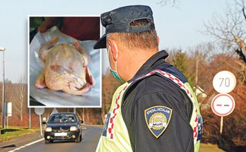 Nezapamćeno IŽIVLJAVANJE hrvatskih carinika nad majkom i djetetom: Vratili ih zbog “SRPSKOG” pileta