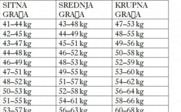 Nutricionista objavila tabelu, EVO kako da provjerite da li ste debeli: Imamo TAČNU tabelu za svaku visinu ,sve preko ovih brojki je previše
