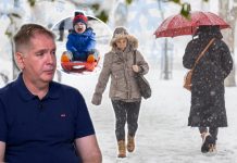 PAŠĆE I DO 20 CENTIMETARA SNEGA: Meteorolog Ristić otkrio DETALJNU PROGNOZU za kraj JANUARA – ledeni talas stiže…