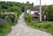 OVA KUĆA MOŽE BITI VAŠA ZA SAMO 10.000 EURA: Unutra sređeno, kuhinja, veš-mašina i 5 ari placa u srcu Šumadije, ima samo jedan USLOV