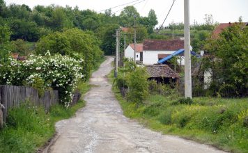 OVA KUĆA MOŽE BITI VAŠA ZA SAMO 10.000 EURA: Unutra sređeno, kuhinja, veš-mašina i 5 ari placa u srcu Šumadije, ima samo jedan USLOV