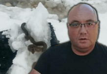 Zmije ispuzale usred zime! Narod vjeruje da ovo nije dobar znak, a poznati zmijolovac upozorava – Dobro obratite pažnju (Foto)