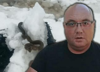 Zmije ispuzale usred zime! Narod vjeruje da ovo nije dobar znak, a poznati zmijolovac upozorava – Dobro obratite pažnju (Foto)