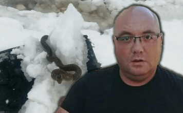 Zmije ispuzale usred zime! Narod vjeruje da ovo nije dobar znak, a poznati zmijolovac upozorava – Dobro obratite pažnju (Foto)