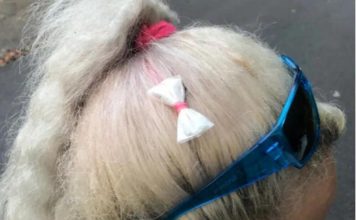 POLICIJA ZAUSTAVILA ŽENU, ONDA SE JEDAN POLICAJAC ZAGLEDAO U MAŠNICU U NJENOJ KOSI: Posle 3 minuta bila je uhapšena