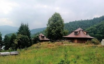 ZASTRAŠUJUĆE STVORENJE SNIMLJENO NA TARI: Sve češće ih ima u Srbiji, na mrežama zaprepašćeni – “Šta je bre ovo, SPALI GA” (FOTO)