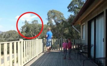 OTAC ILIJA UHVAĆEN SA ĆERKAMA NA BALKONU, MAJKA ODMAH IZLETJELA: Vrištali su dok su to radili (VIDEO)