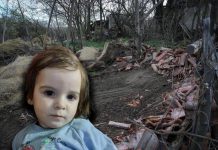 POGLEDAJTE KAKO IZGLEDA DVORIŠTE GDE JE NESTALA MALA DANKA! Smeće, seno, deponija, SPASILAČKI TIMOVI NA TERENU (FOTO, VIDEO)