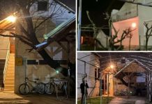 EVO KO JE MUŠKARAC KOJI JE SA ŽENOM UBIO DJECU PA SEBE: Bavio se muzikom