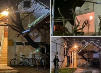 EVO KO JE MUŠKARAC KOJI JE SA ŽENOM UBIO DJECU PA SEBE: Bavio se muzikom