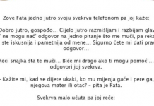 VIC DANA – Fata i Svekrva