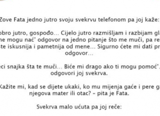 VIC DANA – Fata i Svekrva