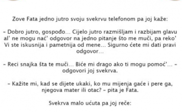VIC DANA – Fata i Svekrva