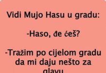 VIC: HASO TRAŽI LIJEK