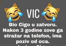 VIC: Cigo u zatvoru