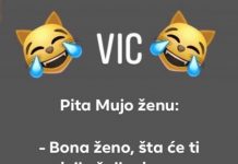 VIC DANA: Pita Mujo ženu