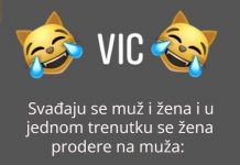 Vic: Svađaju se muž i žena
