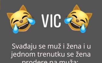 Vic: Svađaju se muž i žena