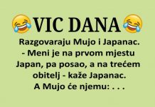 VIC DANA: Mujo i Japanac