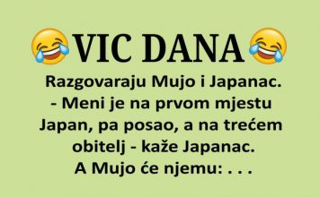 VIC DANA: Mujo i Japanac