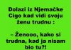 VIC: Ciga se vratio iz Njemačke, žena trudna