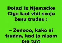 VIC: Ciga se vratio iz Njemačke, žena trudna