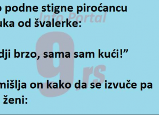 VIC DANA: Gospođa se vratila ranije