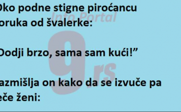 VIC DANA: Gospođa se vratila ranije