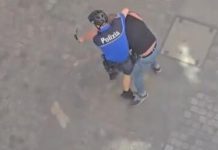 ŽESTOKA TUČA SRPSKIH PLJAČKAŠA I ŠVAJCARSKE POLICIJE: Krenuli na zlataru po receptu “PINK PANTERA”, a onda je nastao HAOS (VIDEO)