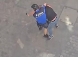 ŽESTOKA TUČA SRPSKIH PLJAČKAŠA I ŠVAJCARSKE POLICIJE: Krenuli na zlataru po receptu “PINK PANTERA”, a onda je nastao HAOS (VIDEO)