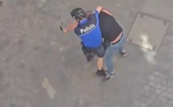 ŽESTOKA TUČA SRPSKIH PLJAČKAŠA I ŠVAJCARSKE POLICIJE: Krenuli na zlataru po receptu “PINK PANTERA”, a onda je nastao HAOS (VIDEO)