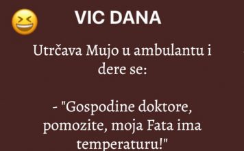 VIC DANA: Mujo u ambulanti