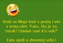 VIC DANA: Fata kuharica