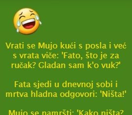 VIC DANA: Fata kuharica
