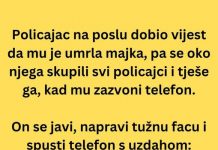 VIC DANA: Policajac na poslu