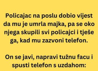 VIC DANA: Policajac na poslu