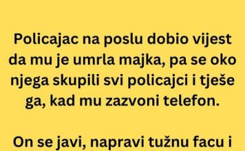VIC DANA: Policajac na poslu