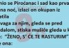 Vic Dana :Oće da je rastur….