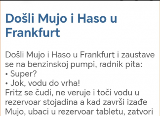 VIC DANA: Došli Mujo i Haso u Frankfurt