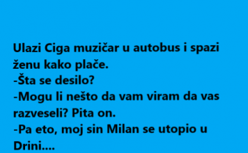 VIC DANA: Ulazi Ciga muzičar u autobus