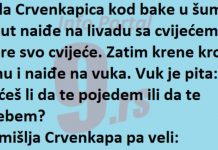 VIC DANA: Srela Crvenkapica vuka
