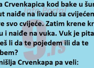 VIC DANA: Srela Crvenkapica vuka