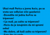 VIC DANA: Ulazi Perica u javnu kuću