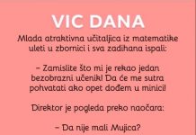 VIC DANA: Mlada učiteljica