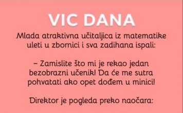 VIC DANA: Mlada učiteljica